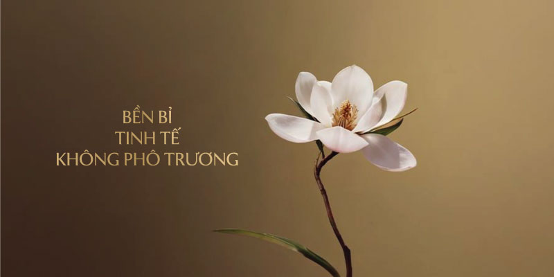 Cảm Hứng Nguyên Bản: Hoa Mộc Lan (Magnolia) – Cốt Cách Cao Quý Vượt Thời Gian