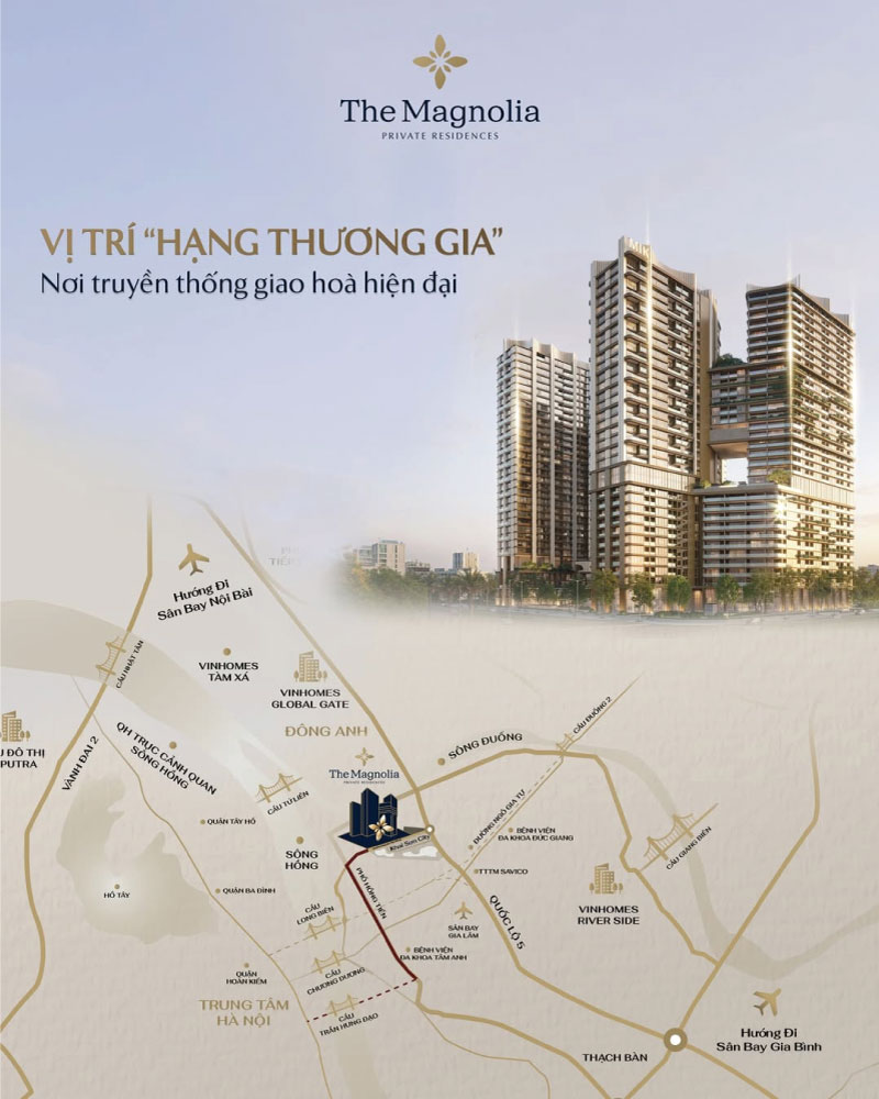 Tọa Độ "Hạng Thương Gia": Đặc Quyền Làm Chủ Thời Gian