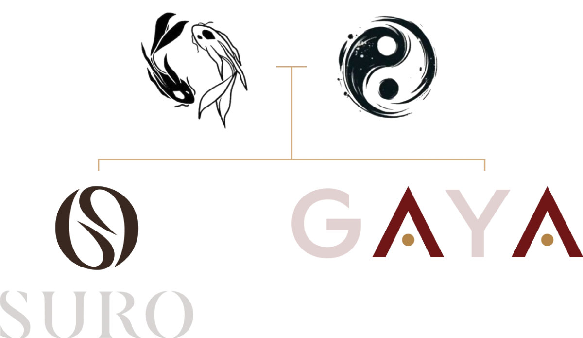 Nền tảng phát triển quốc tế GAYA (Singapore)